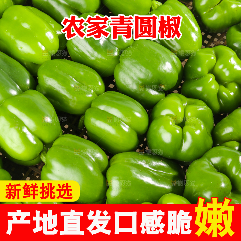 白底上的青圆椒