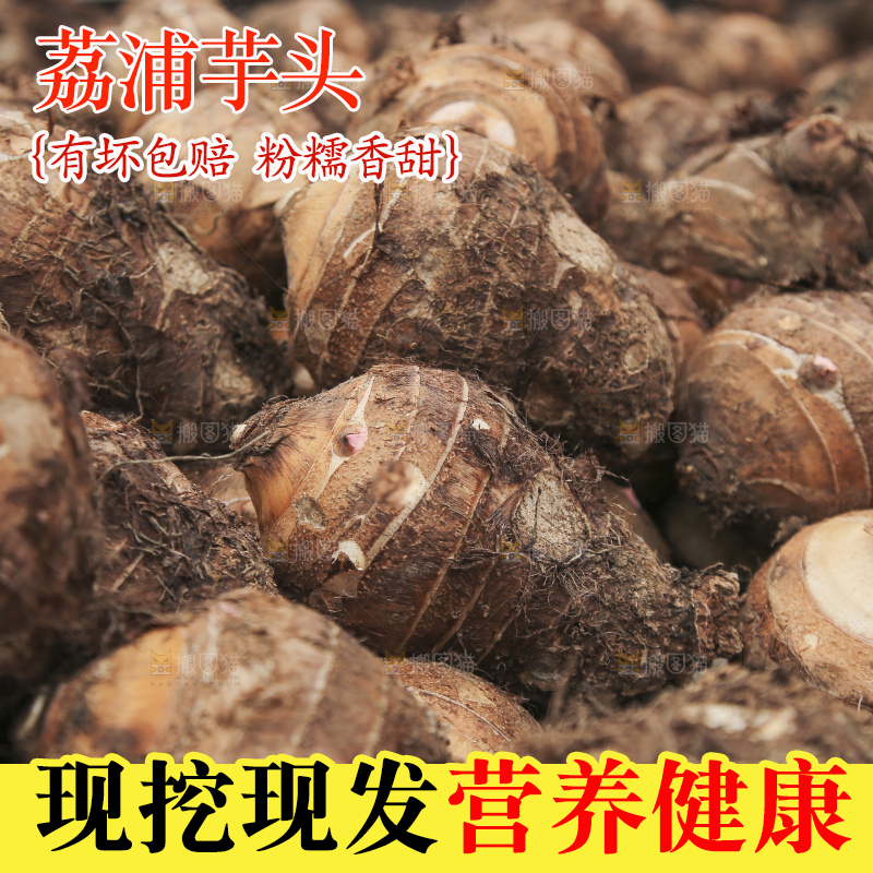 大片荔浦芋头