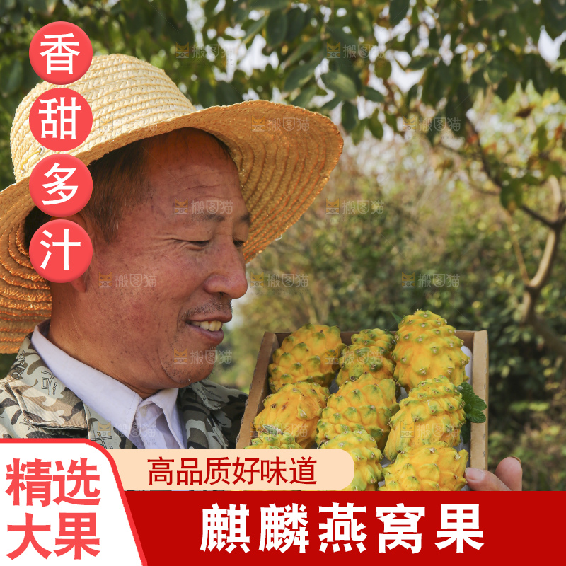 手里拿着燕窝果
