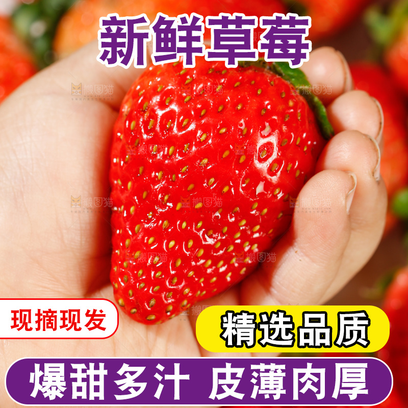 浅底上的丹东草莓