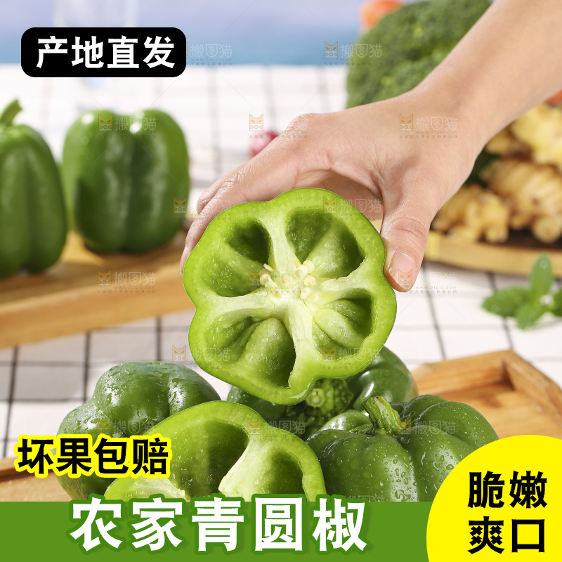 浅底上的青圆椒