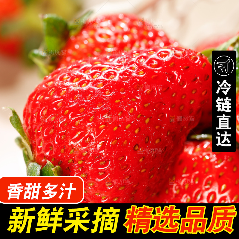 浅底上的丹东草莓