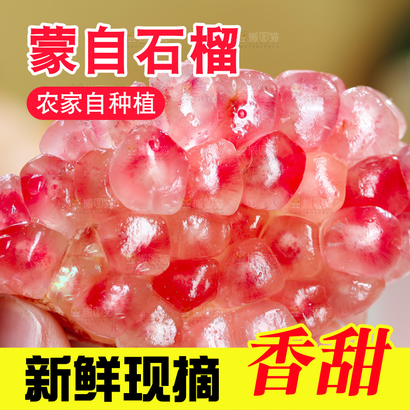 浅底上的蒙自石榴