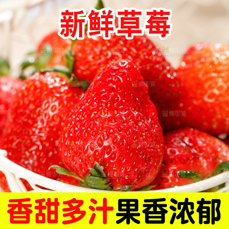 浅底上的丹东草莓