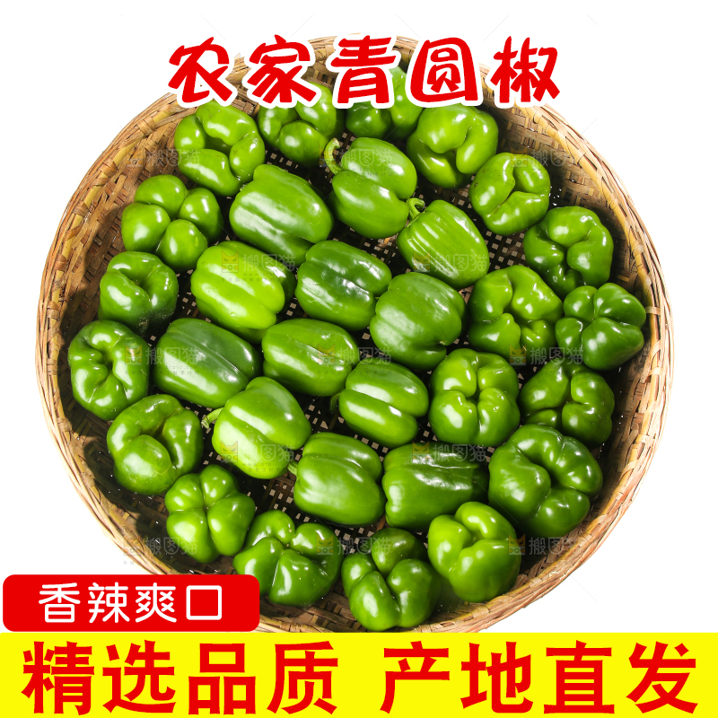 白底上的青圆椒