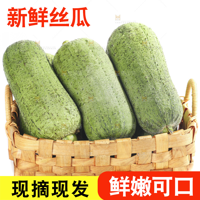 白底上的肉丝瓜
