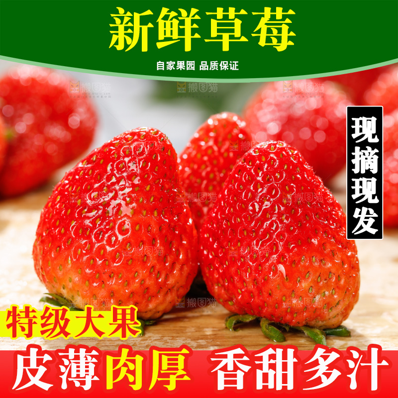 浅底上的丹东草莓