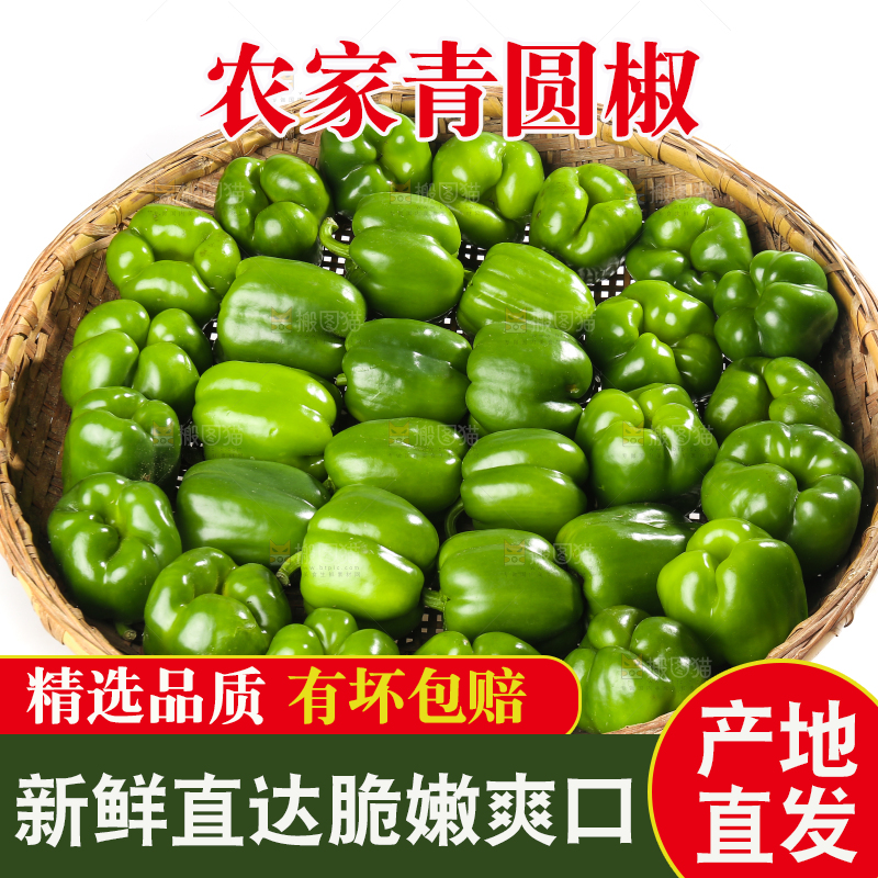 白底上的青圆椒