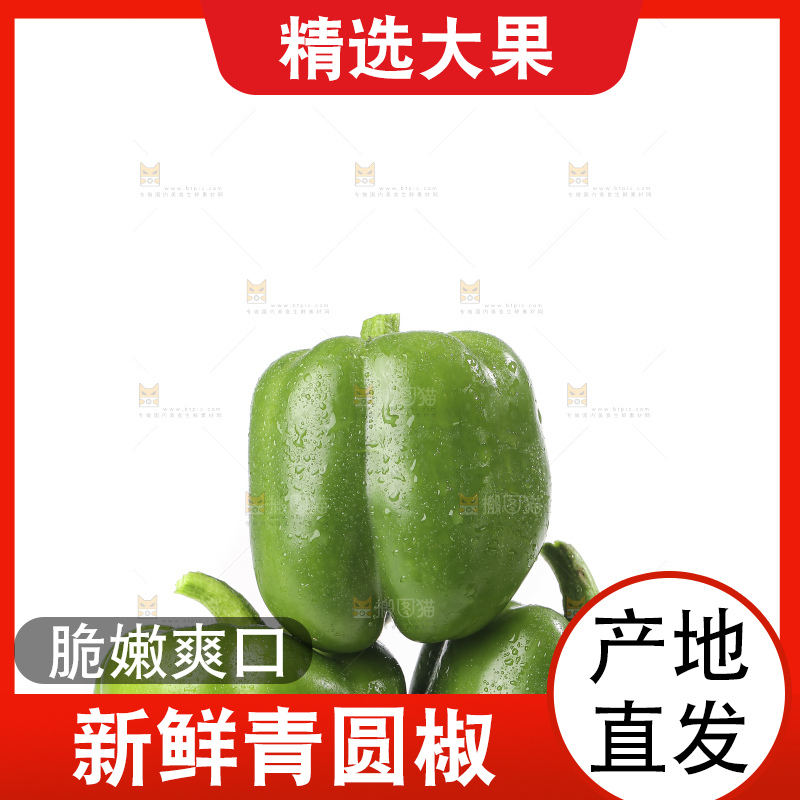 白底上的青圆椒