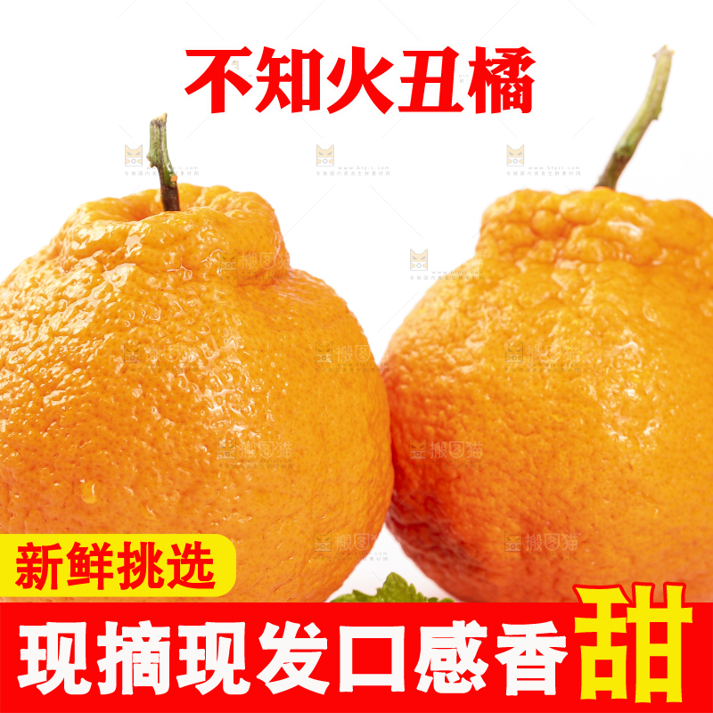 白底上的丑橘