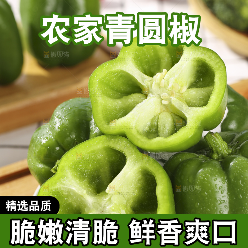 浅底上的青圆椒