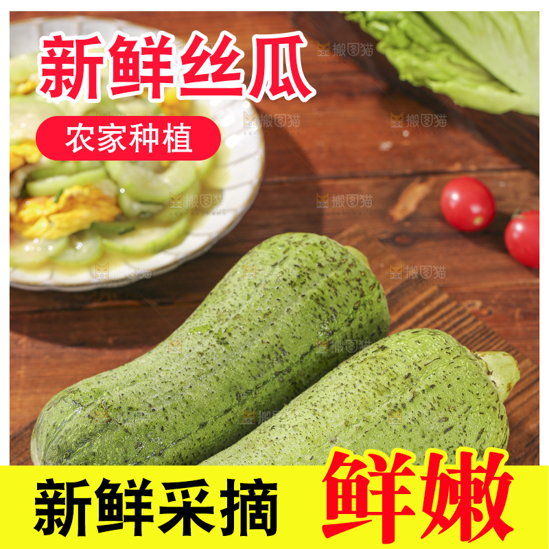 木底上的肉丝瓜