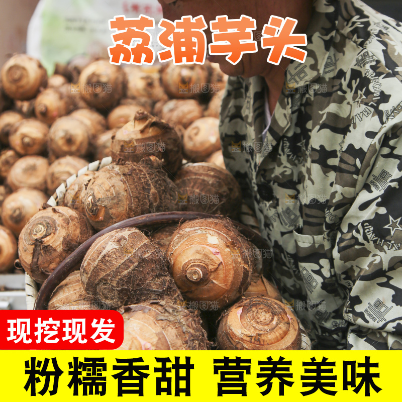 大片荔浦芋头