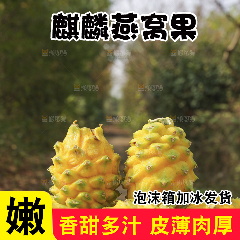 木底上的燕窝果