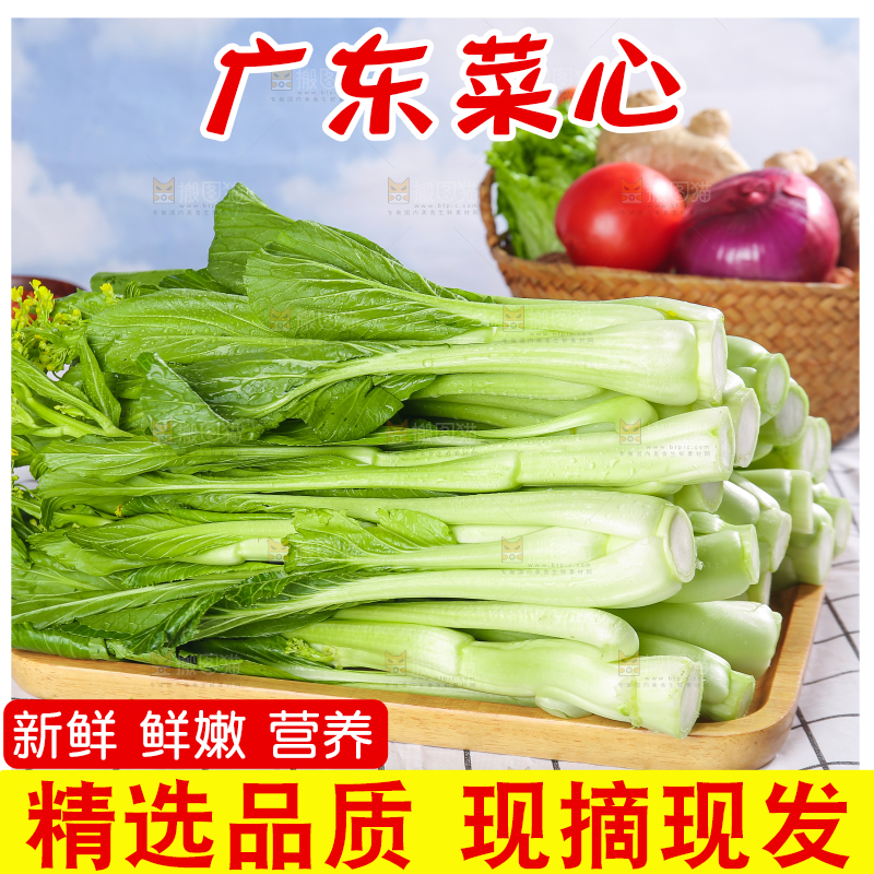 浅底上的广东菜心