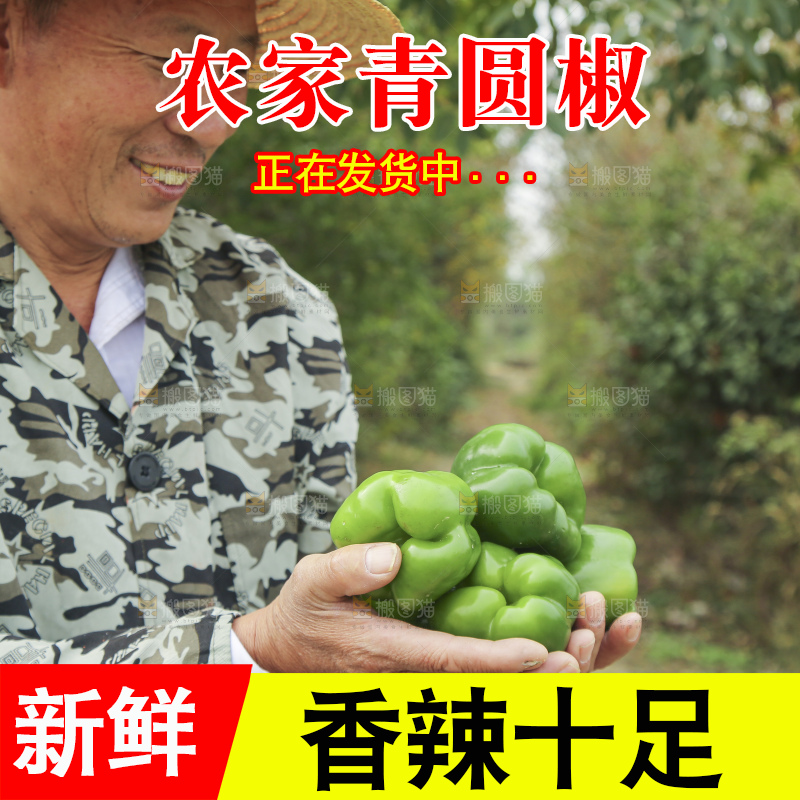 手里拿着新鲜青圆椒