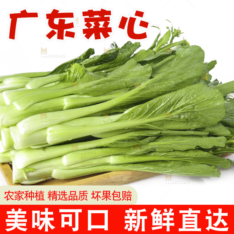 白底上的广东菜心