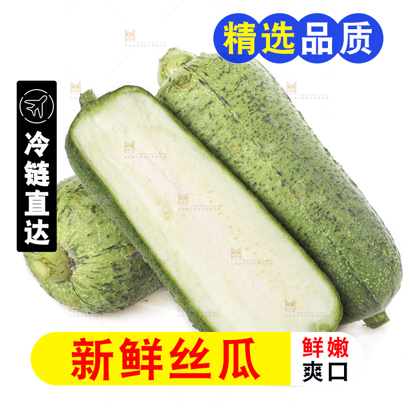 白底上的肉丝瓜
