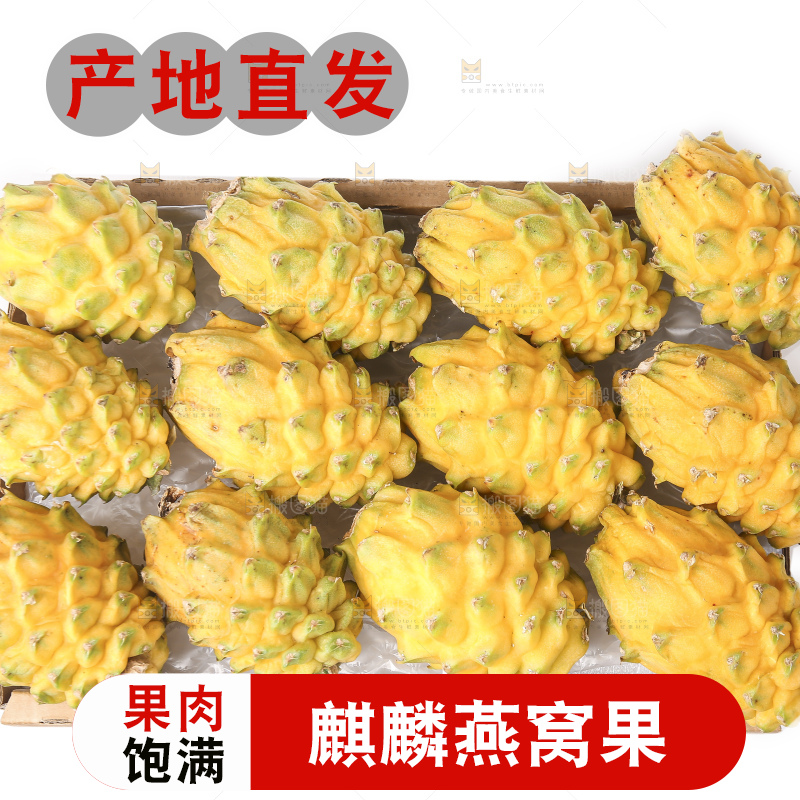 白底上的燕窝果