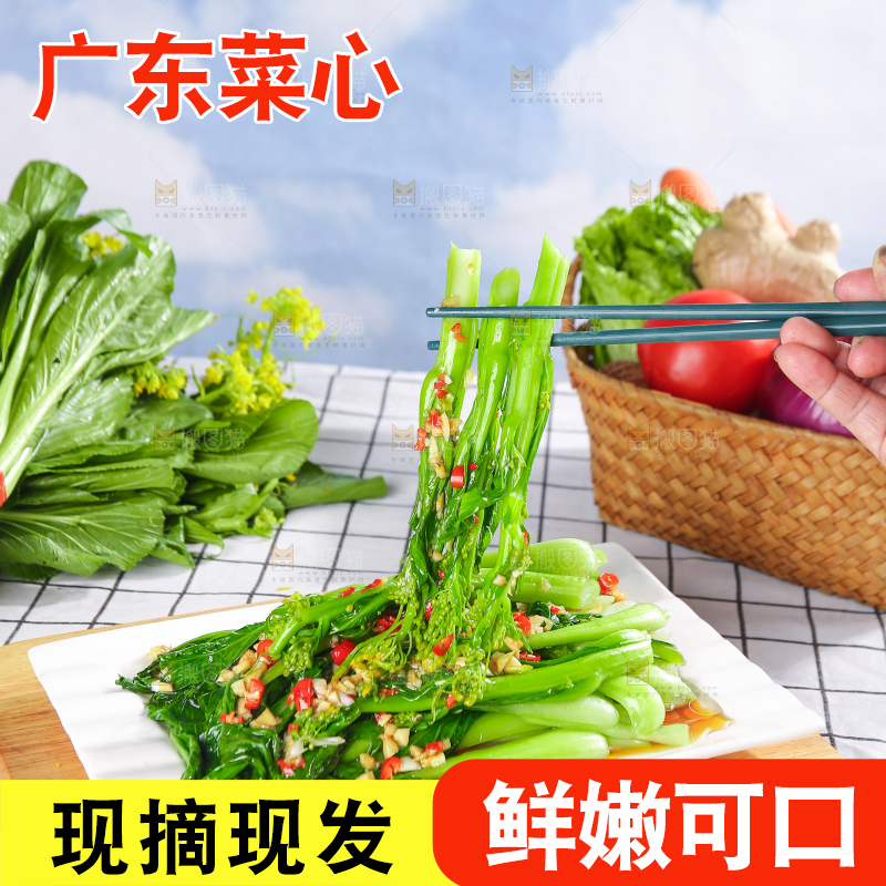 浅底上的广东菜心