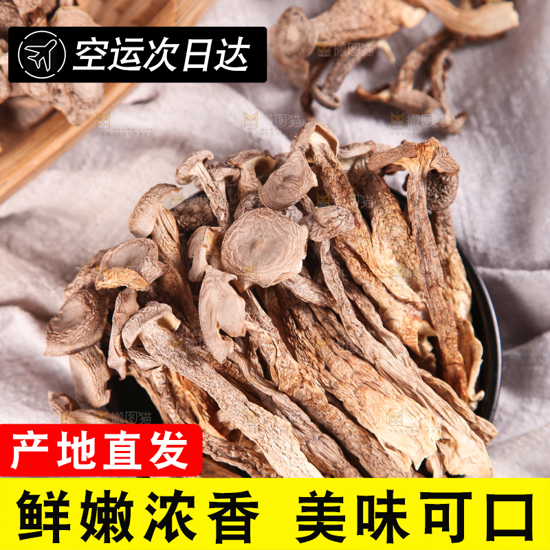 浅底上的鹿茸菇