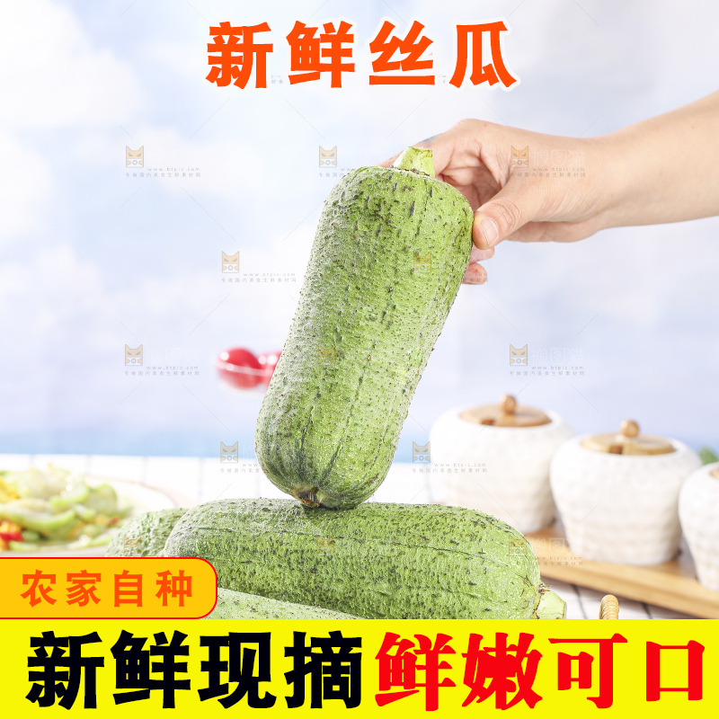 浅底上的肉丝瓜
