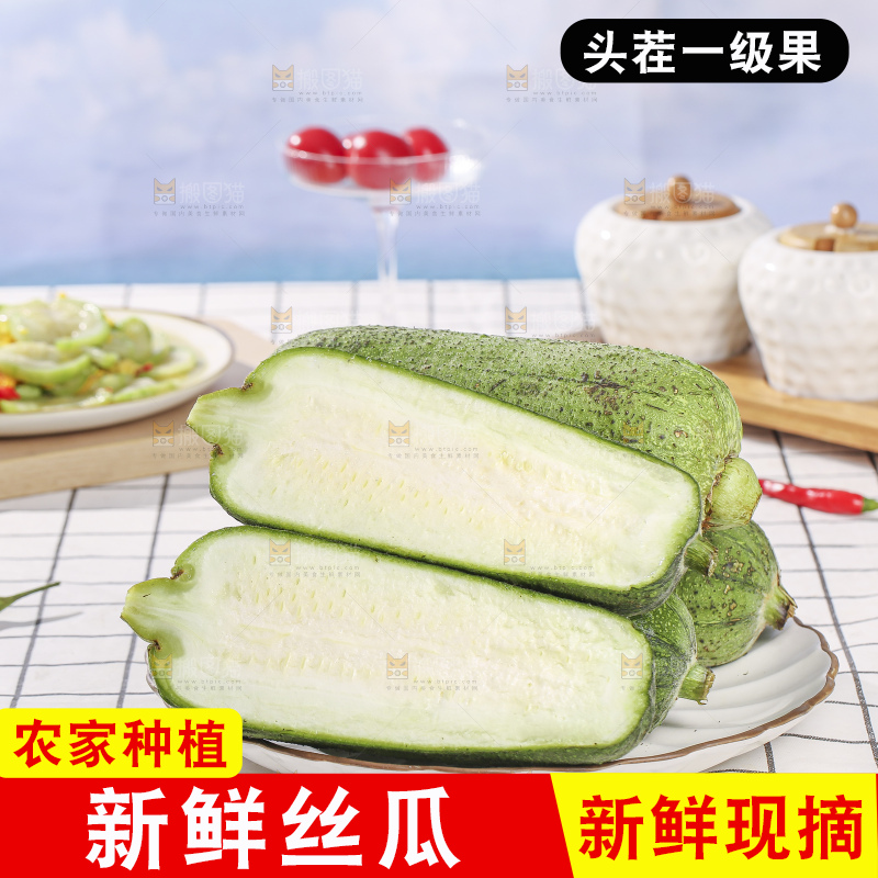 浅底上的肉丝瓜