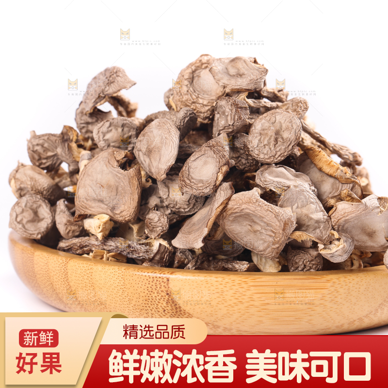 白底上的鹿茸菇