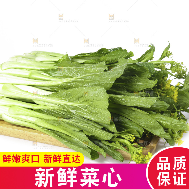 白底上的广东菜心
