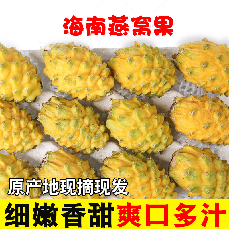 白底上的燕窝果