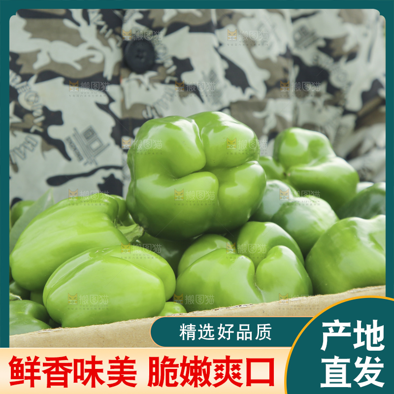 手里拿着新鲜青圆椒