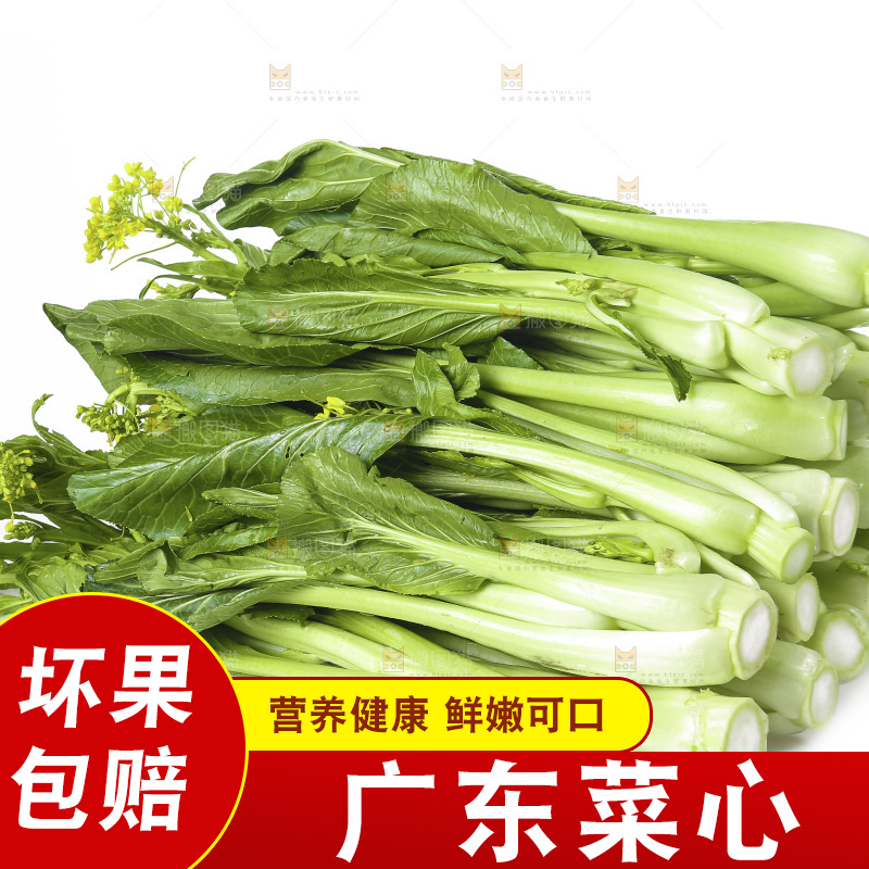 白底上的广东菜心