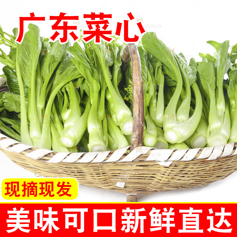 白底上的广东菜心
