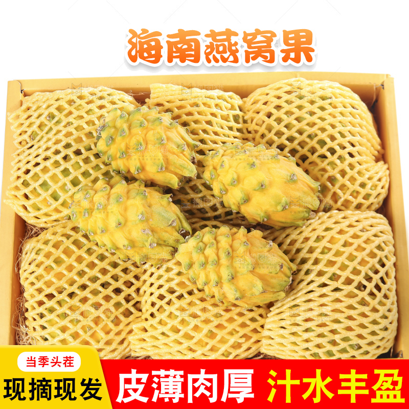 白底上的燕窝果