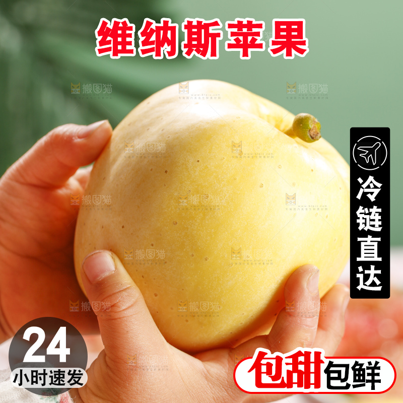 浅底上的维纳斯苹果