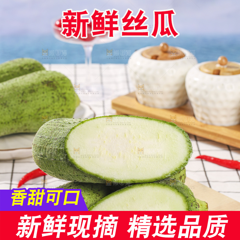 浅底上的肉丝瓜
