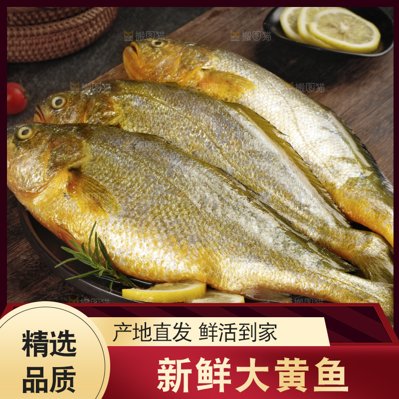 深底上的大黄鱼