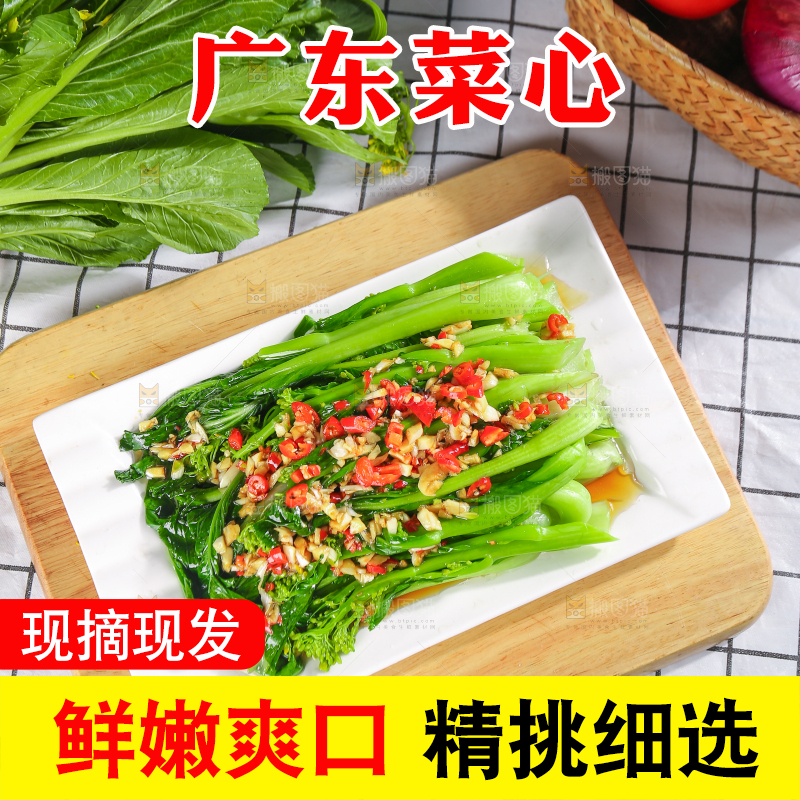 浅底上的广东菜心