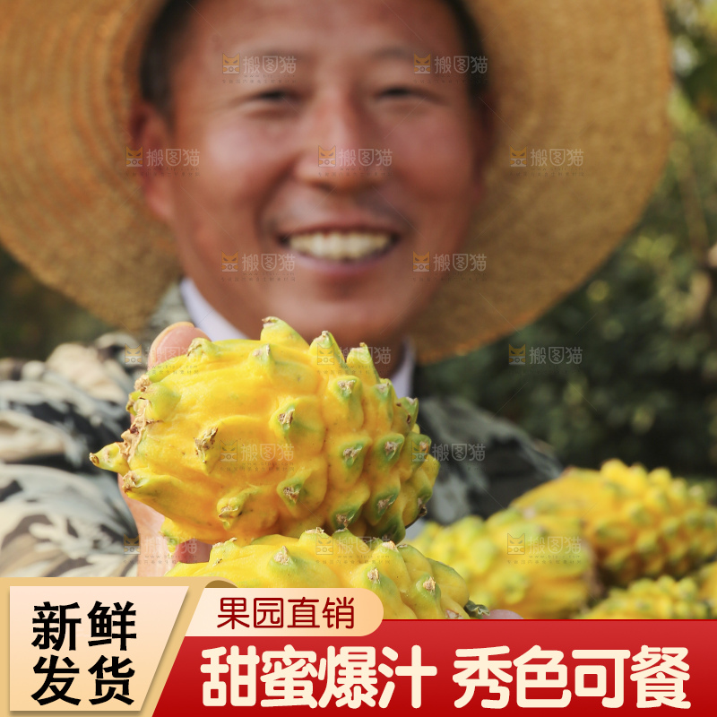 手里拿着燕窝果
