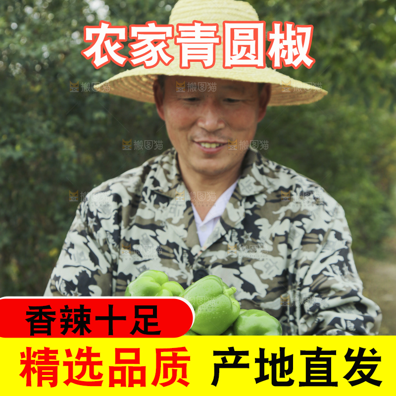 手里拿着新鲜青圆椒