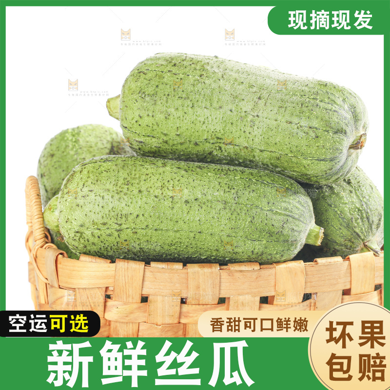 白底上的肉丝瓜