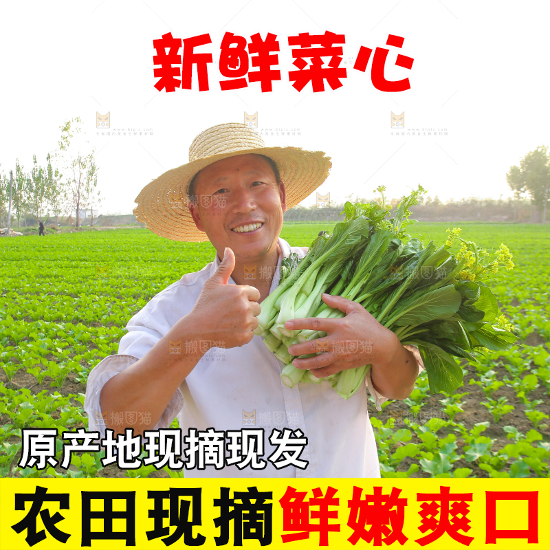 手里拿着广东菜心