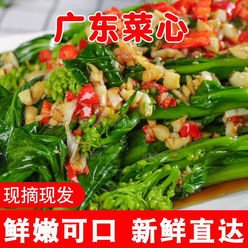 浅底上的广东菜心