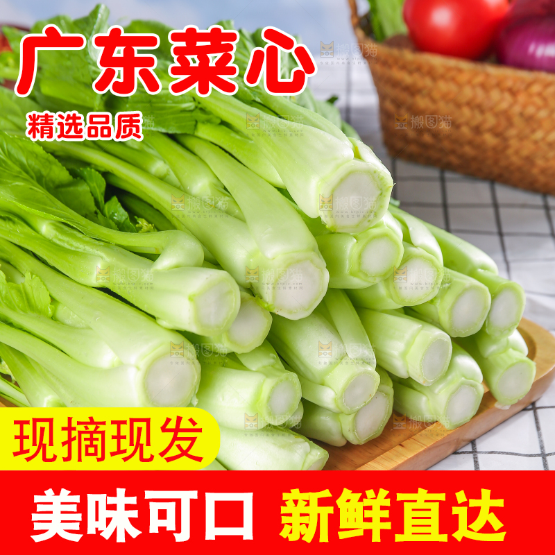 浅底上的广东菜心