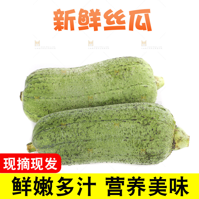 白底上的肉丝瓜