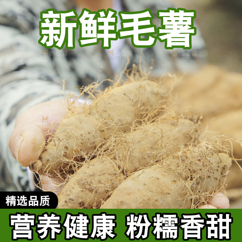 手里拿着新鲜毛薯