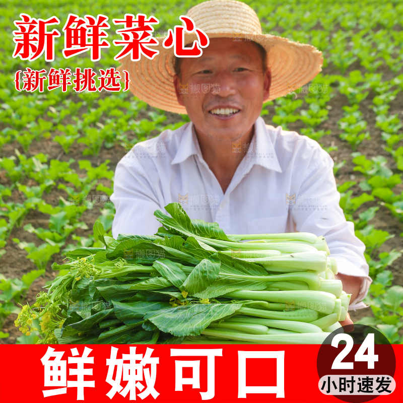 手里拿着广东菜心