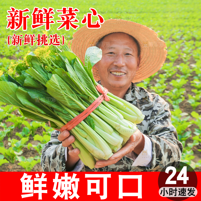手里拿着广东菜心