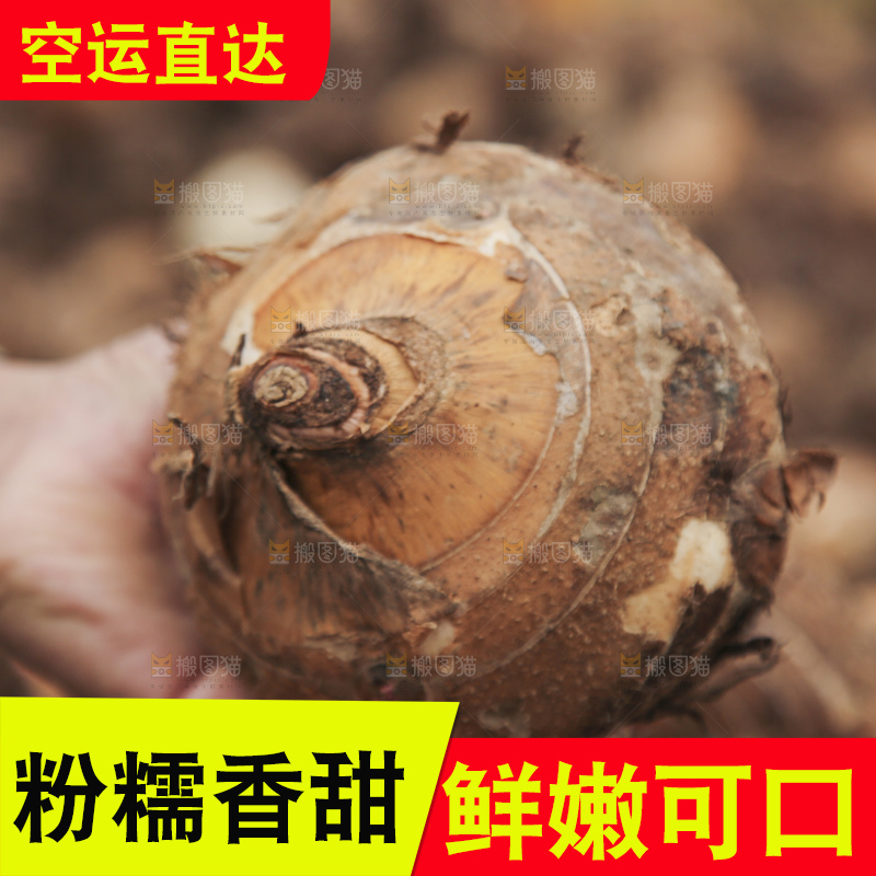 大片荔浦芋头