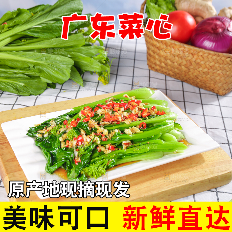 浅底上的广东菜心